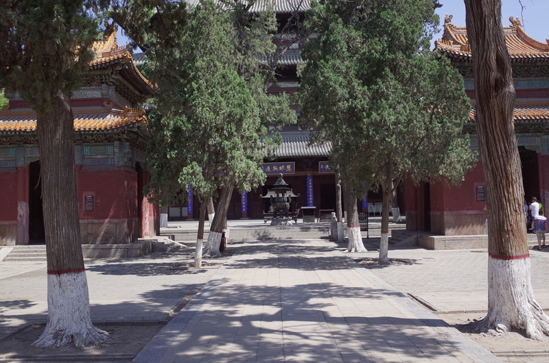 The yard in front of Main Hall of Longxing Temple